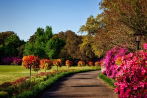 Commercial Landscaping Quincy IL