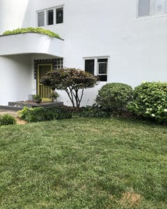 Lawn renovation quincy il