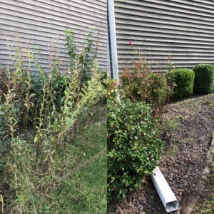 Landscaping - Before and After