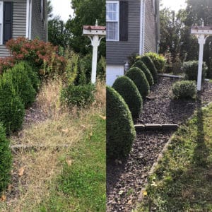 Landscaping - Before and After